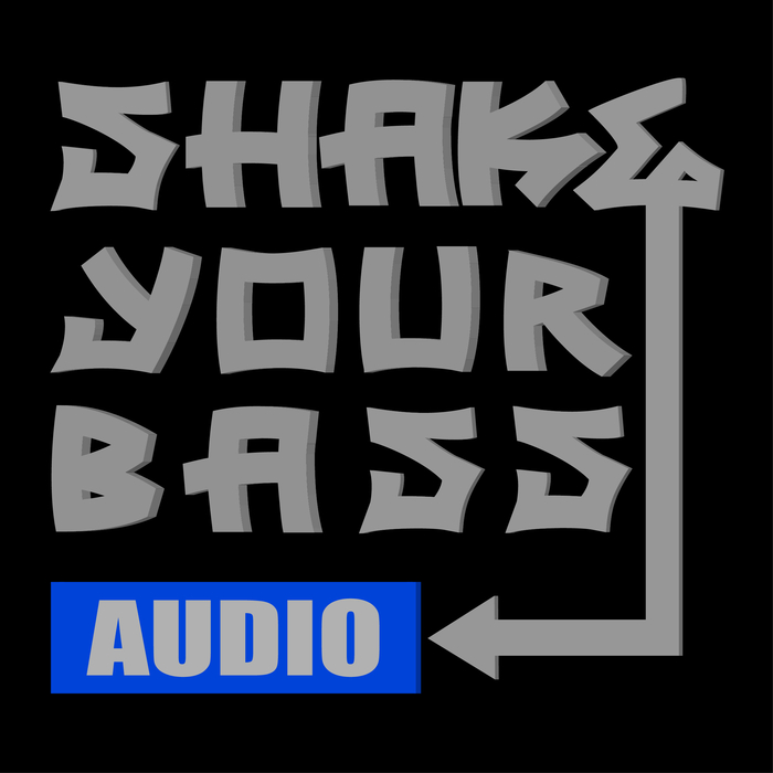 VARIOUS - Shake Your Bass Vol 3