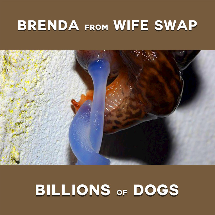 BRENDA FROM WIFE SWAP - Billions Of Dogs