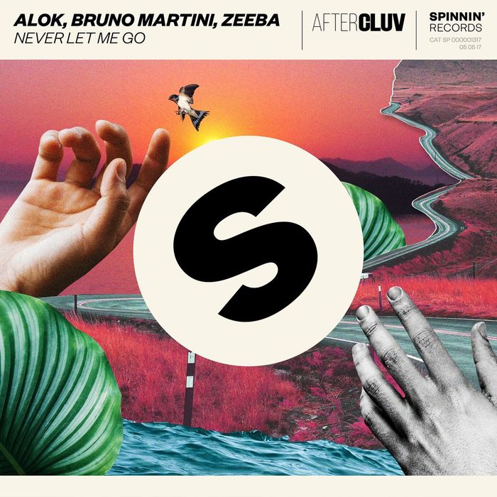 ALOK/ZEEBA/BRUNO MARTINI - Never Let Me Go