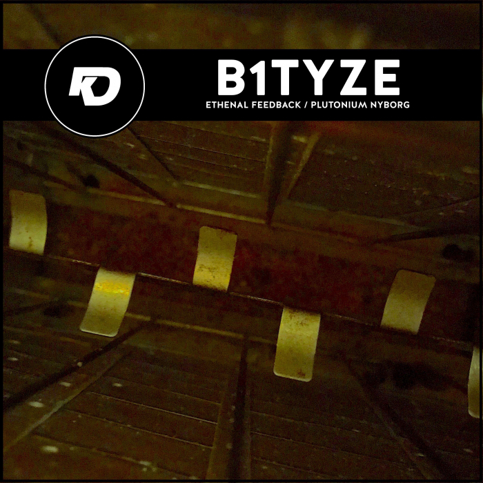 B1TYZE - Ethenal Feedback/Plutonium Nyborg