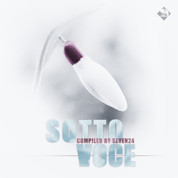 VARIOUS/SEVEN24 - Sotto Voce Vol 2 (Compiled By Seven24)