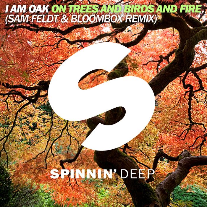 I AM OAK - On Trees And Birds And Fire (Sam Feldt & Bloombox Remix)