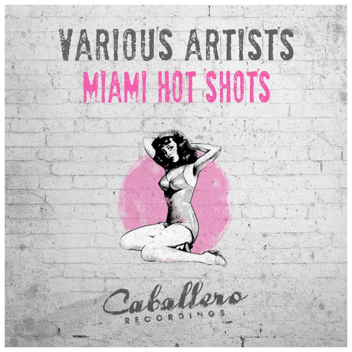 GROOVE SALVATION/ALEXEY ROMEO/WALLMERS/JONSE/JOVIC EVIC - Miami Hot Shots