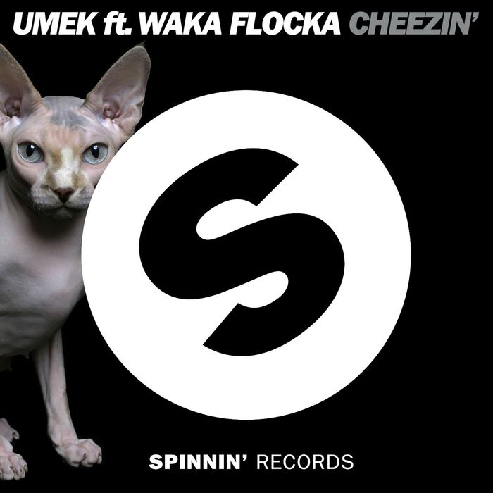 UMEK feat WAKA FLOCKA FLAME - Cheezin'