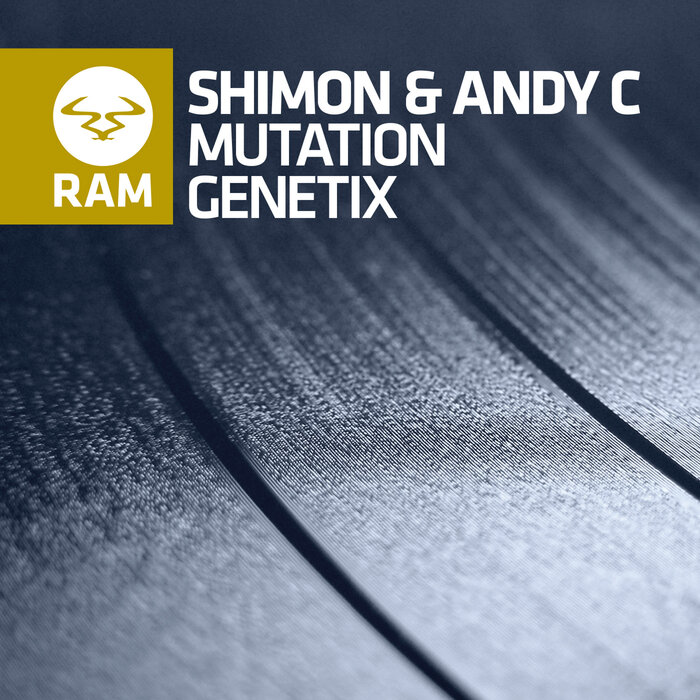 SHIMON/ANDY C - Mutation/Genetix