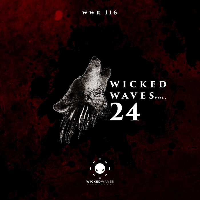 VARIOUS - Wicked Waves Vol 24