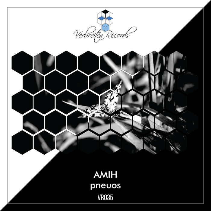 AMIH - Pneuos