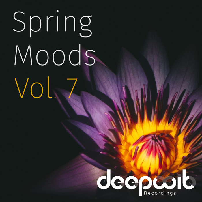 VARIOUS - Spring Moods Vol 7