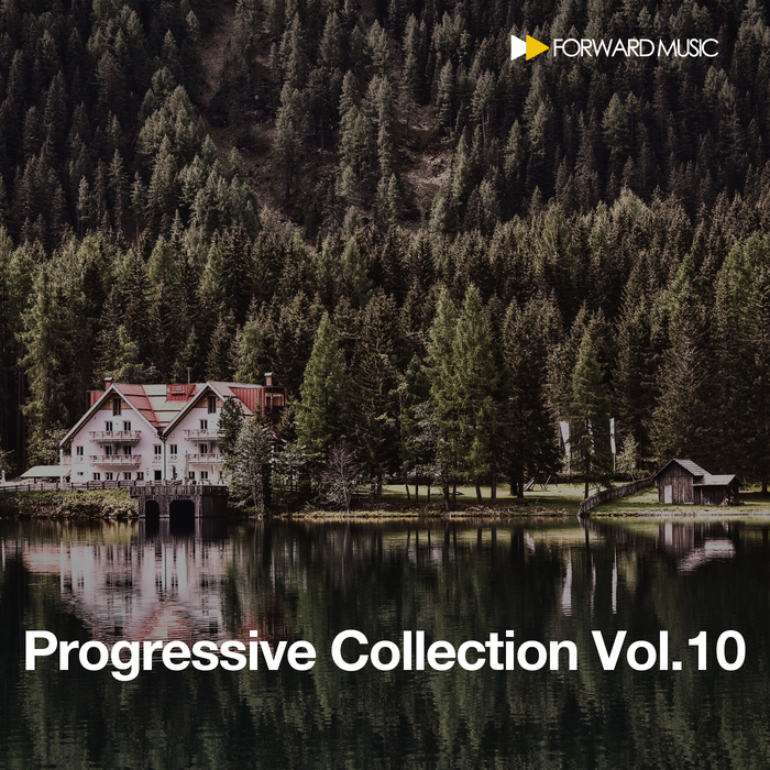 VARIOUS - Progressive Collection Vol 10
