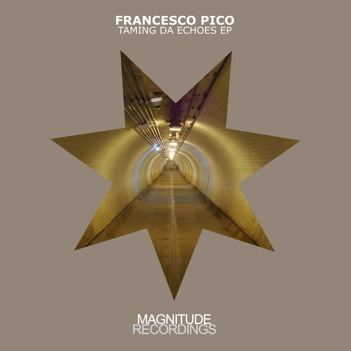 FRANCESCO PICO - Taming Da Echoes EP