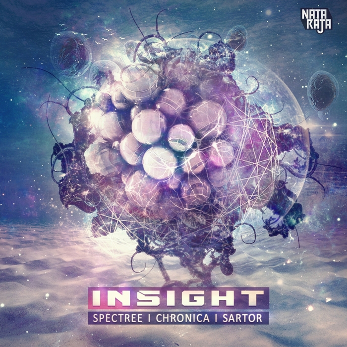 SPECTREE/CHRONICA/SARTOR - Insight