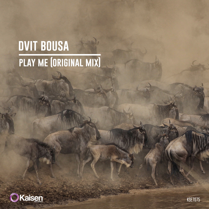 DVIT BOUSA - Play Me