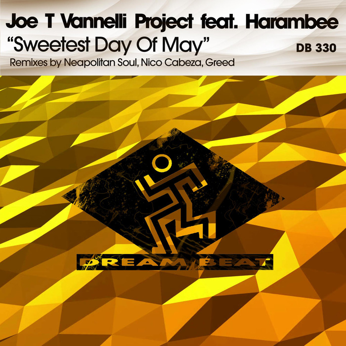 JOE T VANNELLI PROJECT feat HARAMBEE - Sweetest Day Of May