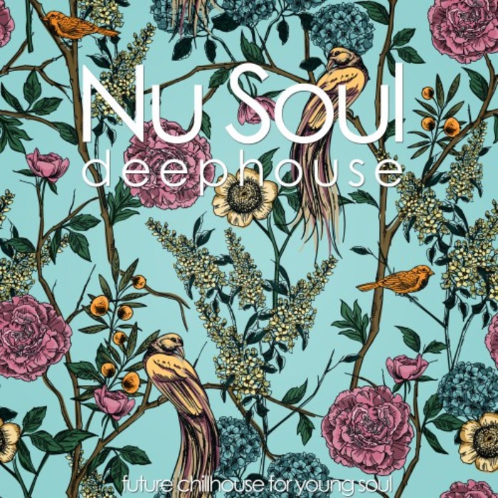 VARIOUS - Nu Soul Deephouse