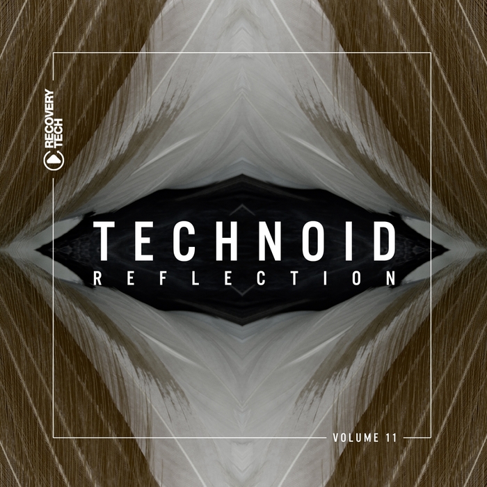 VARIOUS - Technoid Reflection Vol 11