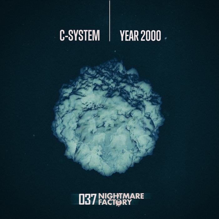 C-SYSTEM - Year 2000