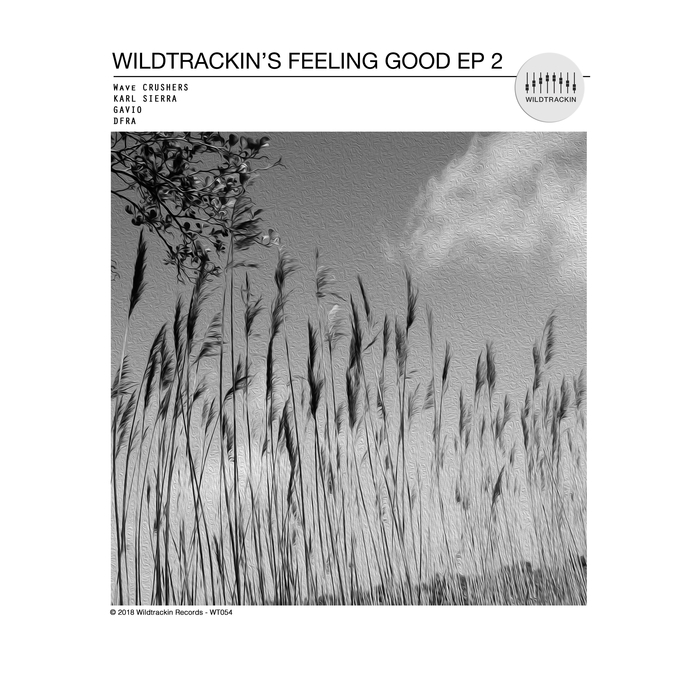 WAVE CRUSHERS/KARL SIERRA/GAVIO & DFRA - Wildtrackin's Feeling Good 2