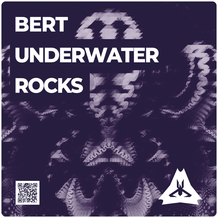 BERT - Underwater Rocks
