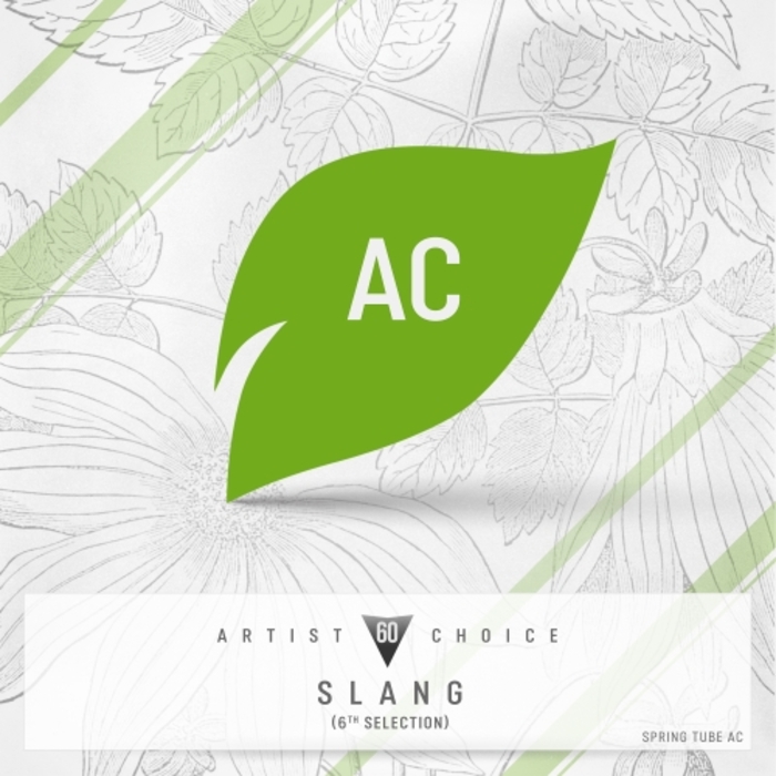 DJ SLANG/VARIOUS - Artist Choice 060: Slang (6th Selection) (unmixed tracks)