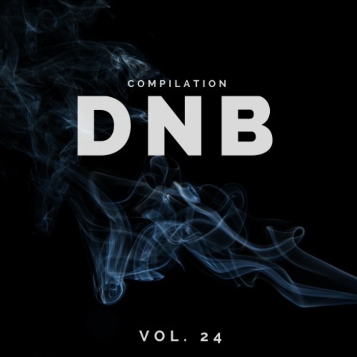 VARIOUS - Dnb Music Compilation Vol 24