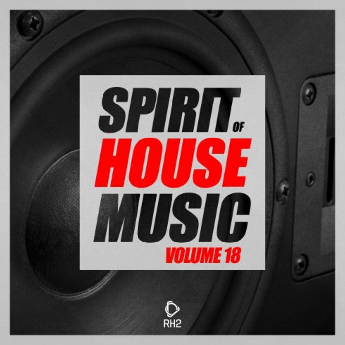 VARIOUS - Spirit Of House Music Vol 18