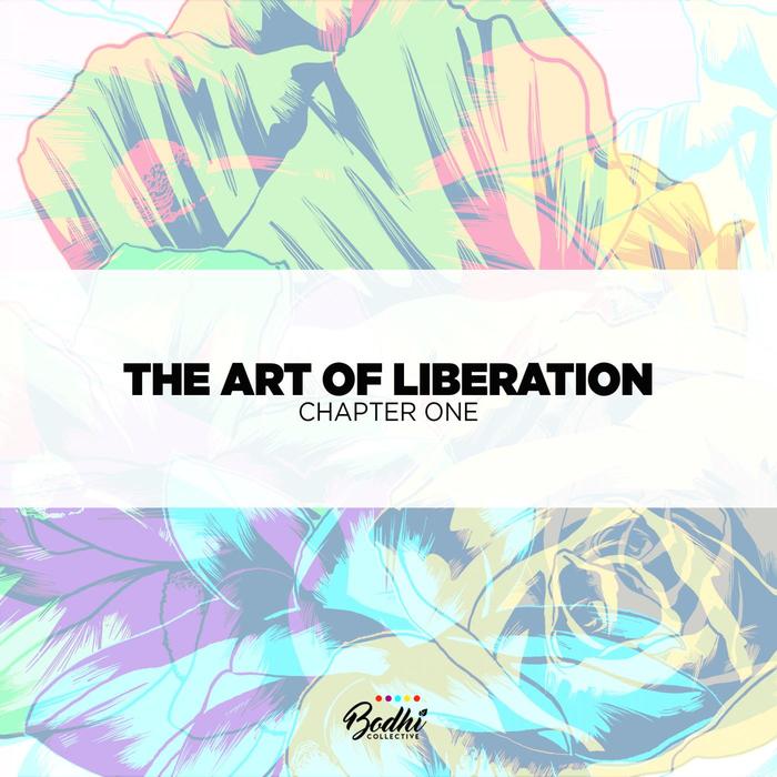 VARIOUS - The Art Of Liberation: Chapter One