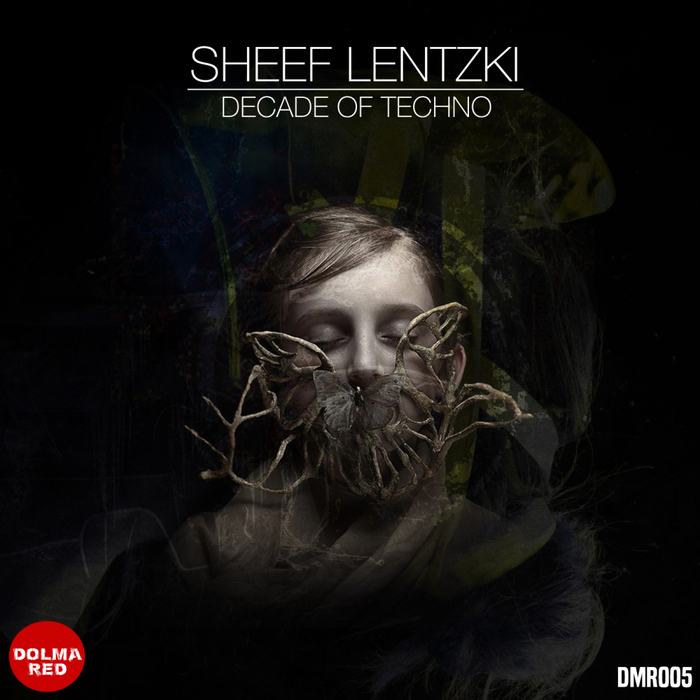 VARIOUS - Sheef Lentzki Decade Of Techno