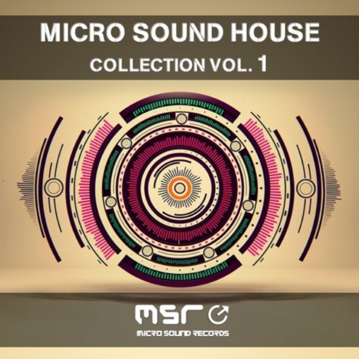 VARIOUS - Micro Sound House Collection Vol 1