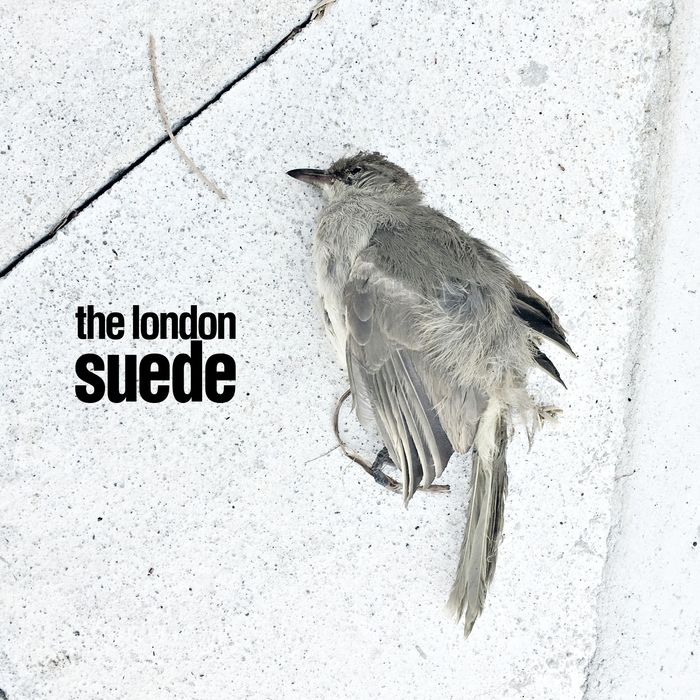 THE LONDON SUEDE - The Invisibles