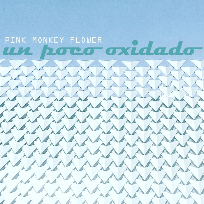 PINK MONKEY FLOWER - Un Poco Oxidado