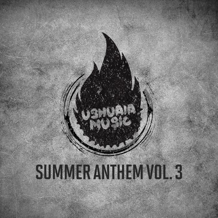 VARIOUS - Summer Anthem Vol 3
