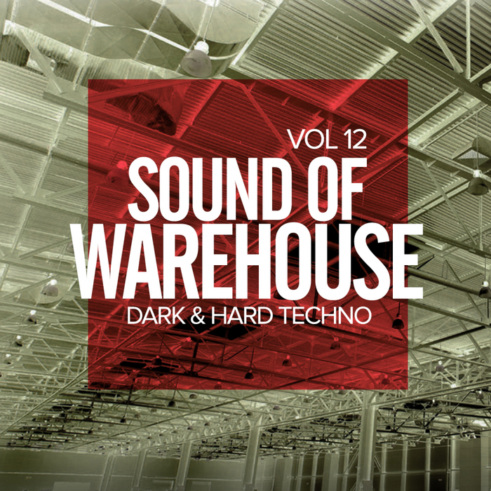 VARIOUS - Sound Of Warehouse Vol 12: Dark & Hard Techno