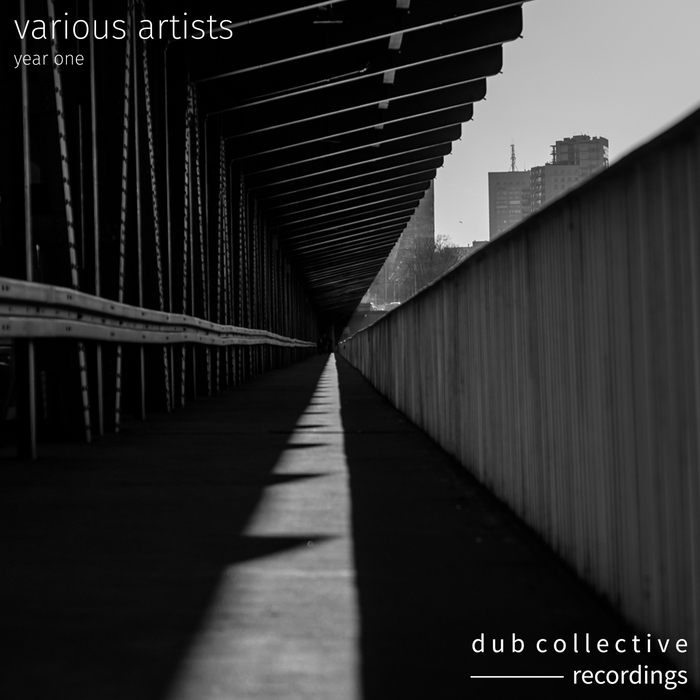 VARIOUS - Dub Collective Recordings Year 1