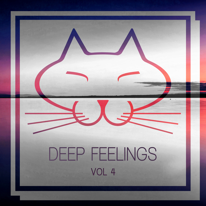 VARIOUS - Deep Feelings Vol 4