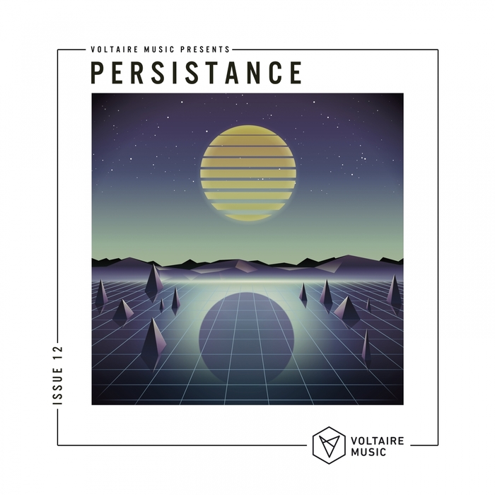 VARIOUS - Voltaire Music Present Persistence #12