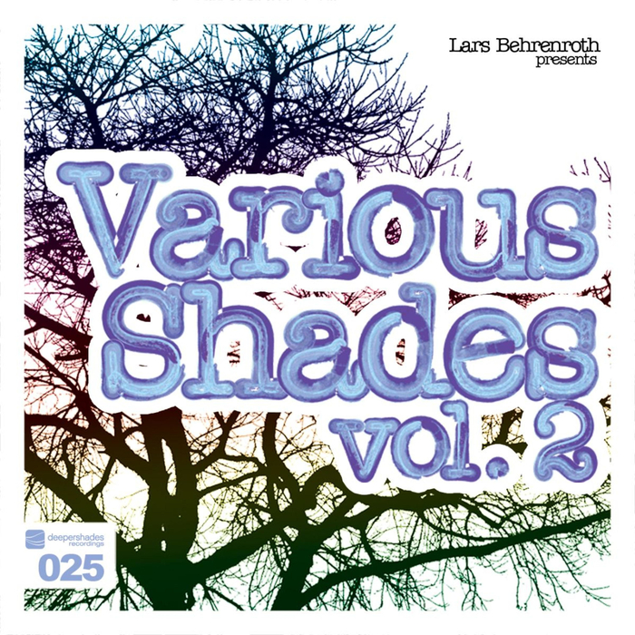 VARIOUS - Lars Behrenroth Presents Various Shades Vol 2