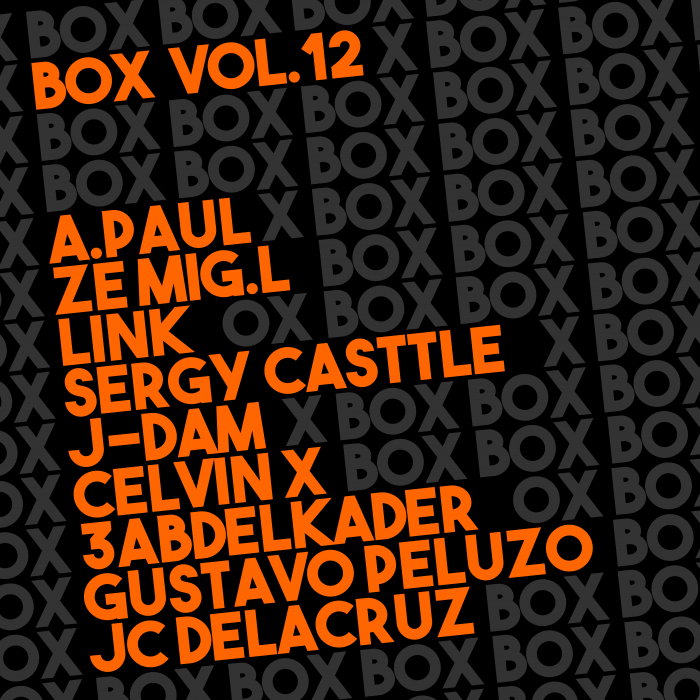 VARIOUS - Amigos Box Vol 12