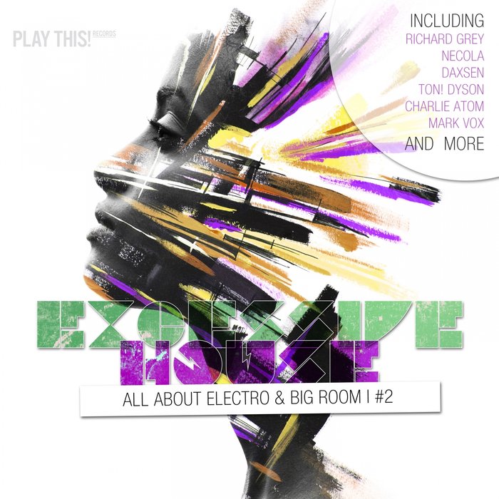 VARIOUS - Excessive House Vol 2 - All About Electro & Big Room