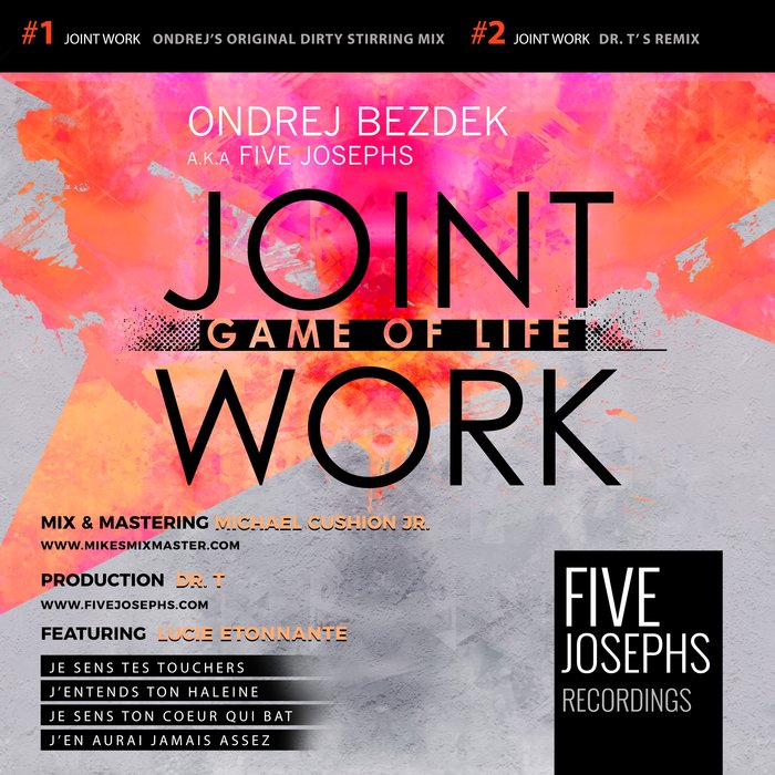 ONDREJ BEZDEK - Joint Work