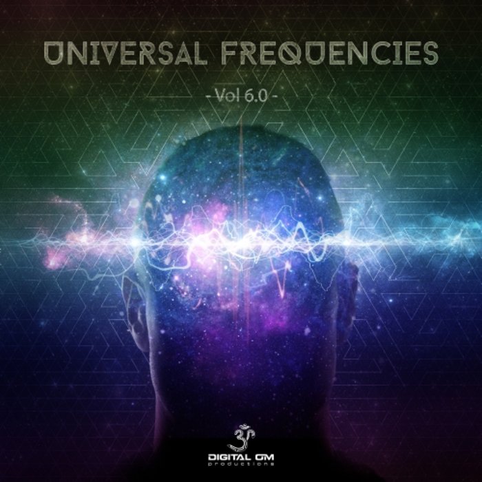 VARIOUS - Universal Frequencies Vol 6