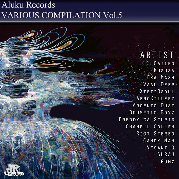 VARIOUS - Aluku Records Various Compilation Vol 5