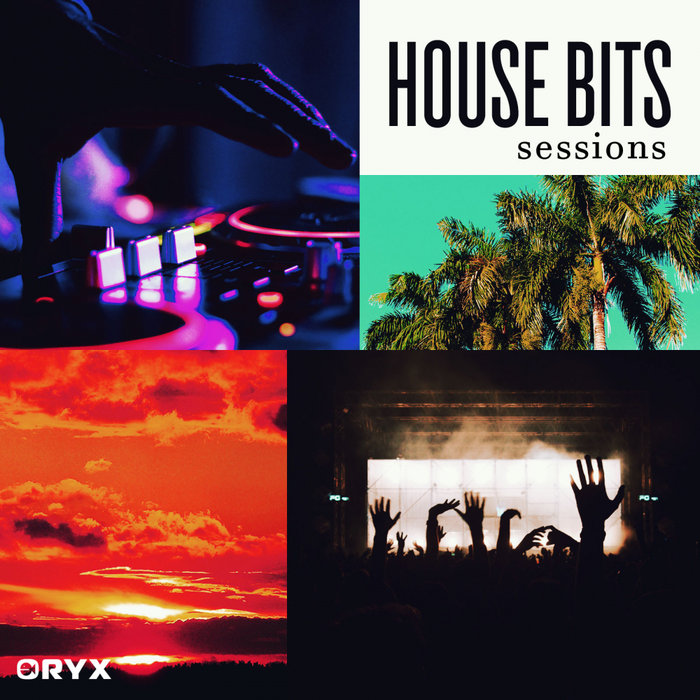 VARIOUS - House Bits Sessions Summer