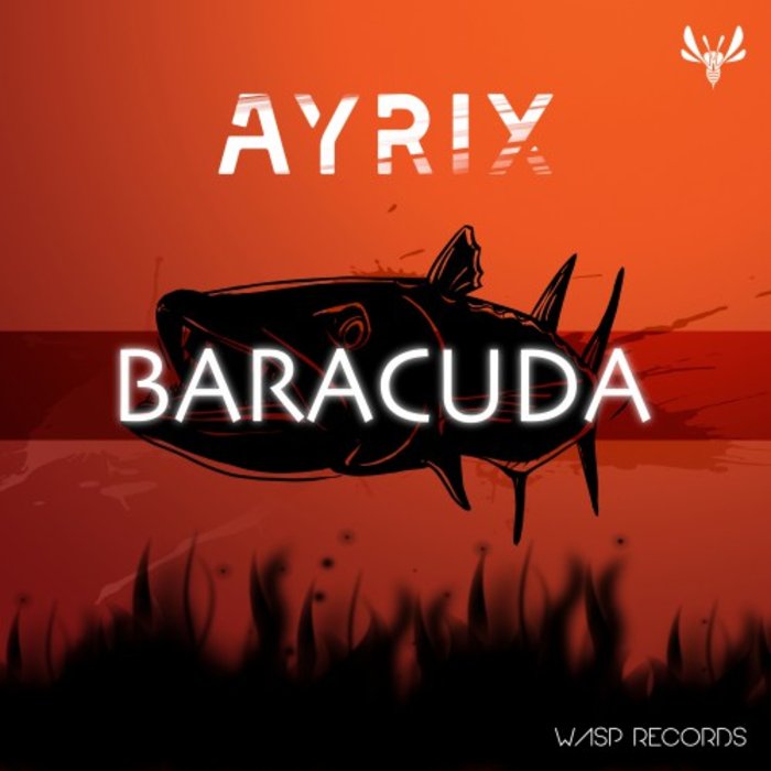 AYRIX - Baracuda