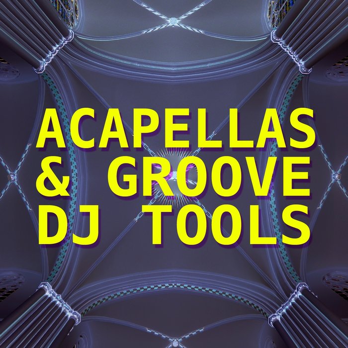 VARIOUS - Acapellas & Groove DJ Tools