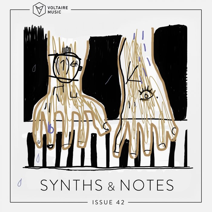 VARIOUS - Synths And Notes 42