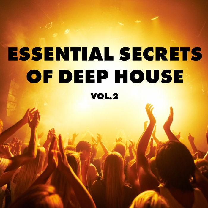 VARIOUS - Essential Secrets Of Deep House Vol 2