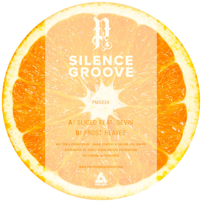 Silence Groove feat Sevin - Sliced
