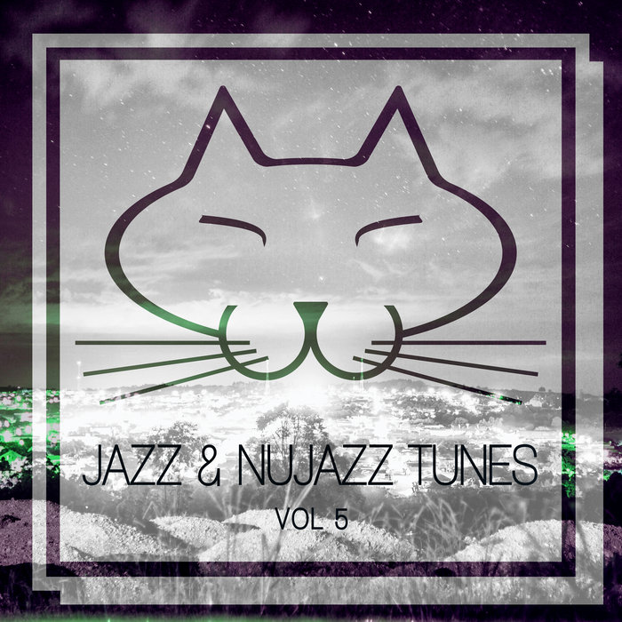 VARIOUS - Jazz & Nujazz Tunes Vol 5