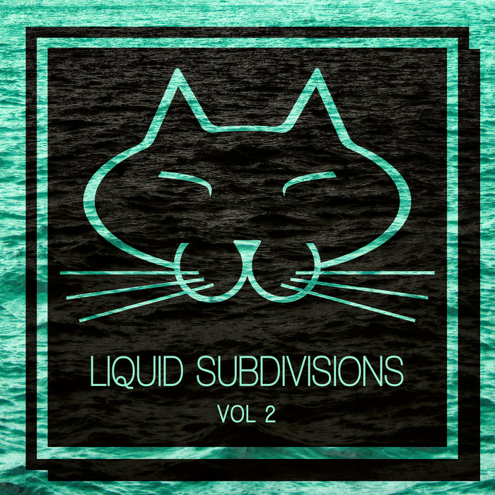 VARIOUS - Liquid Subdivisions Vol 2