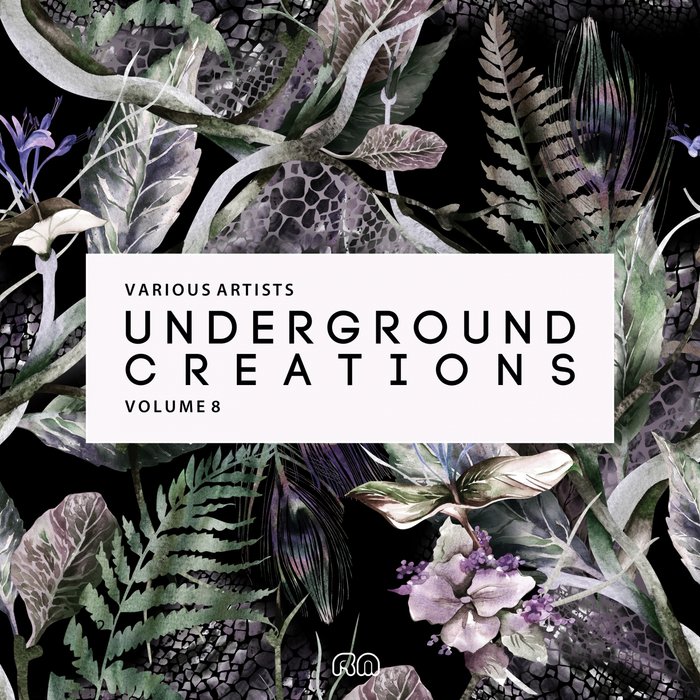 VARIOUS - Underground Creations Vol 8